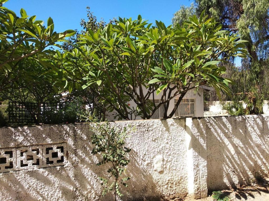 Brackendene Lodge Gaborone Bagian luar foto